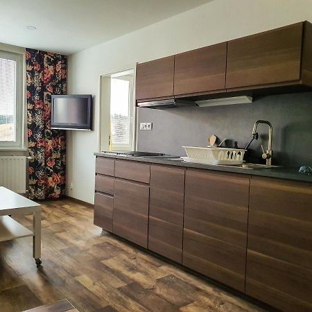 Apartmany Schmiedeberg U Klinovce Kovářská Eksteriør bilde